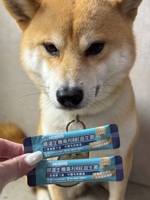 女人知己試用大隊,口碑行銷,部落客行銷,Moegis萌吉 腸道生機專利RBE益生菌,寵物益生菌,專利RBE益生元,專利蔬果酵素,小分子胜肽,藍藻粉,維持免疫力,幫助維持消化道機能,維持正常食慾,改變細菌叢生態,腸胃保健,犬貓適用